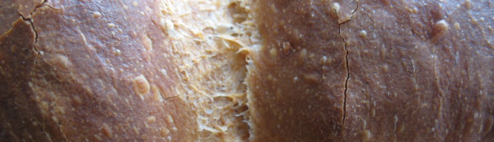 The Earth's  Crust Bakery