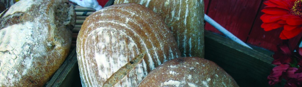 The Earth's  Crust Bakery